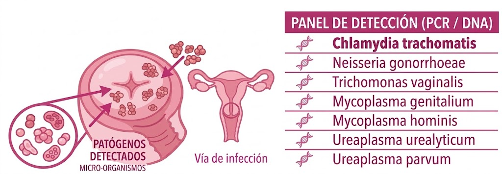 Panel ITS básico