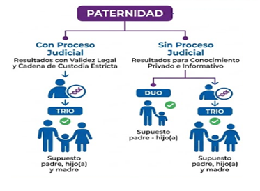 Prueba de paternidad informativa vs. judicial: ¿cuál necesito?
