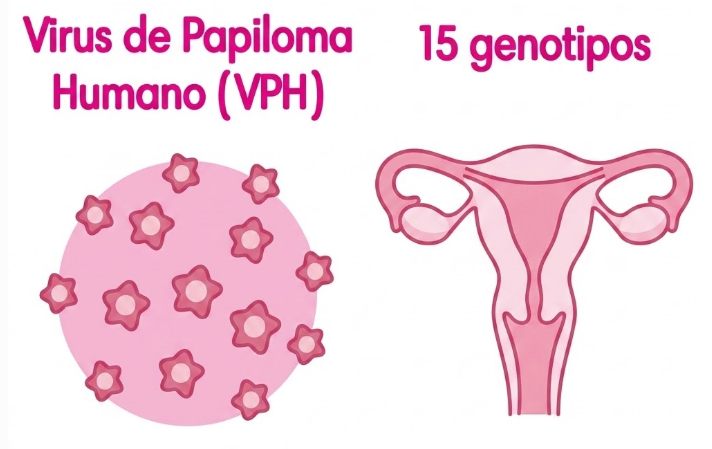 VPH 15 genotipos – Genotipificación básica