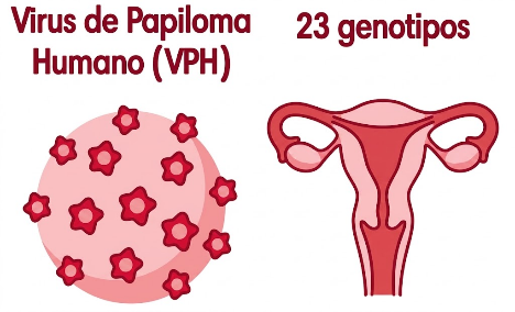 El VPH puede causar verrugas y cáncer tanto en hombres como en mujeres