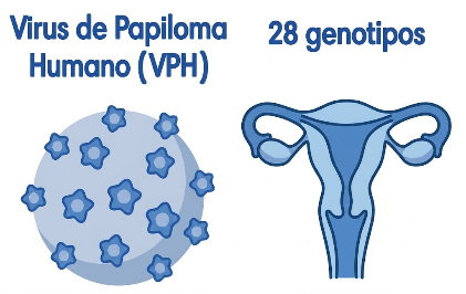 VPH 28 genotipos – Genotipificación extendida